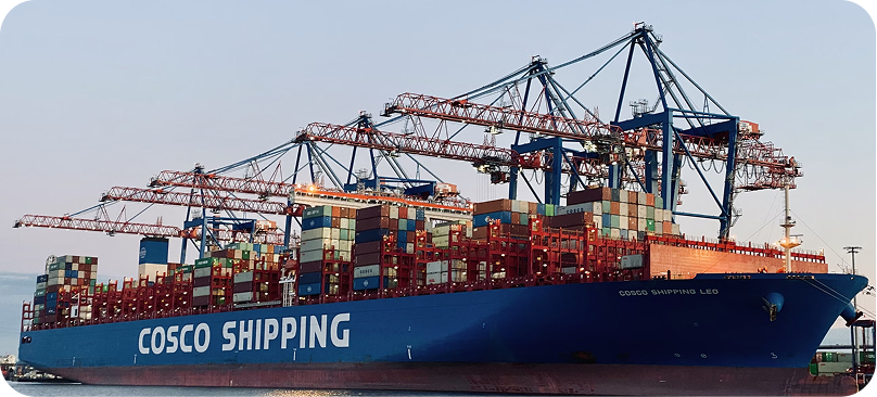 Reliable logistics partner